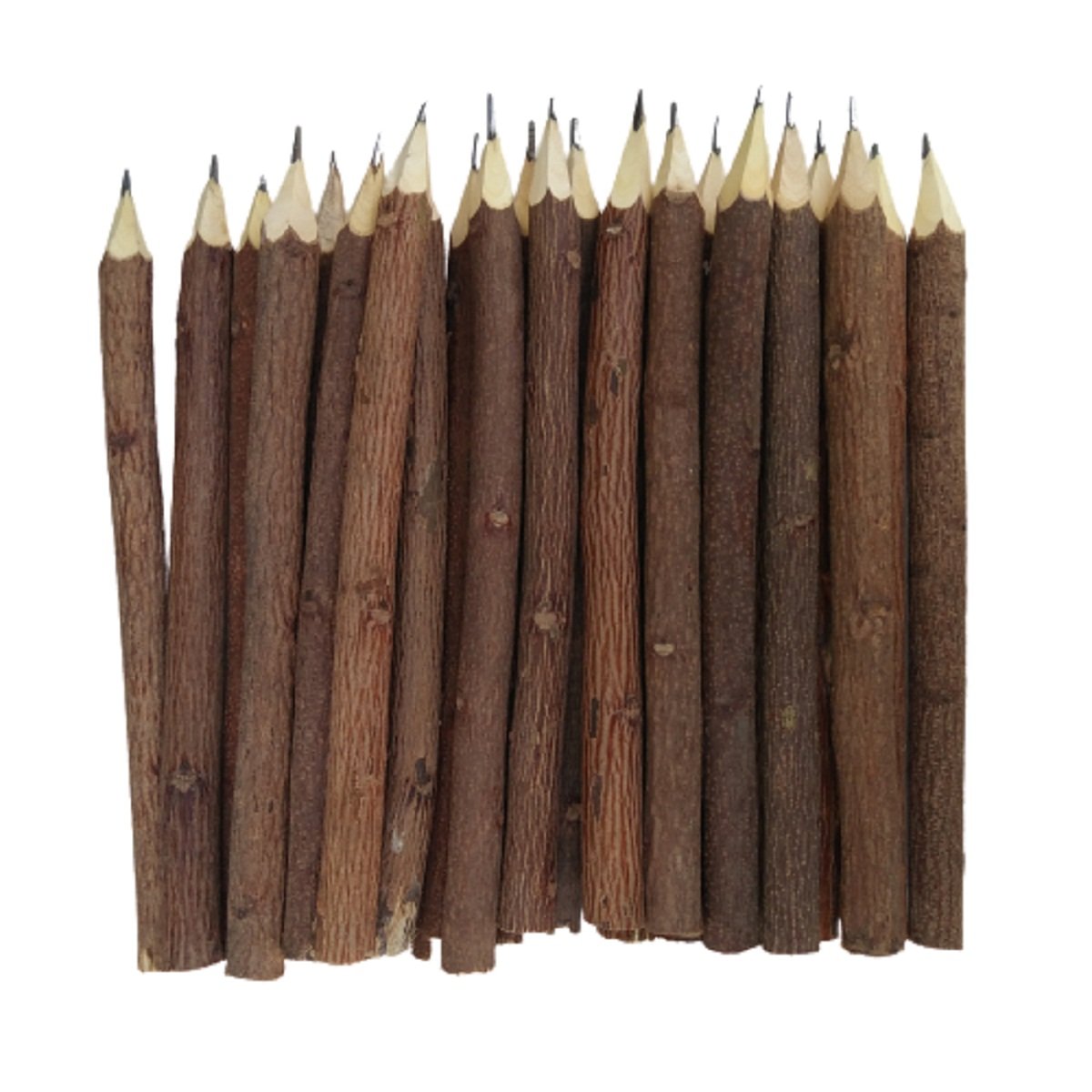 Eco Friendly Handmade Wooden Handicraft Neem Pencil Birthday Return Gift-10 PCs - Image 2