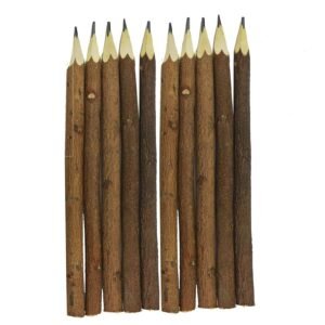 Eco Friendly Handmade Wooden Handicraft Neem Pencil Birthday Return Gift-10 PCs